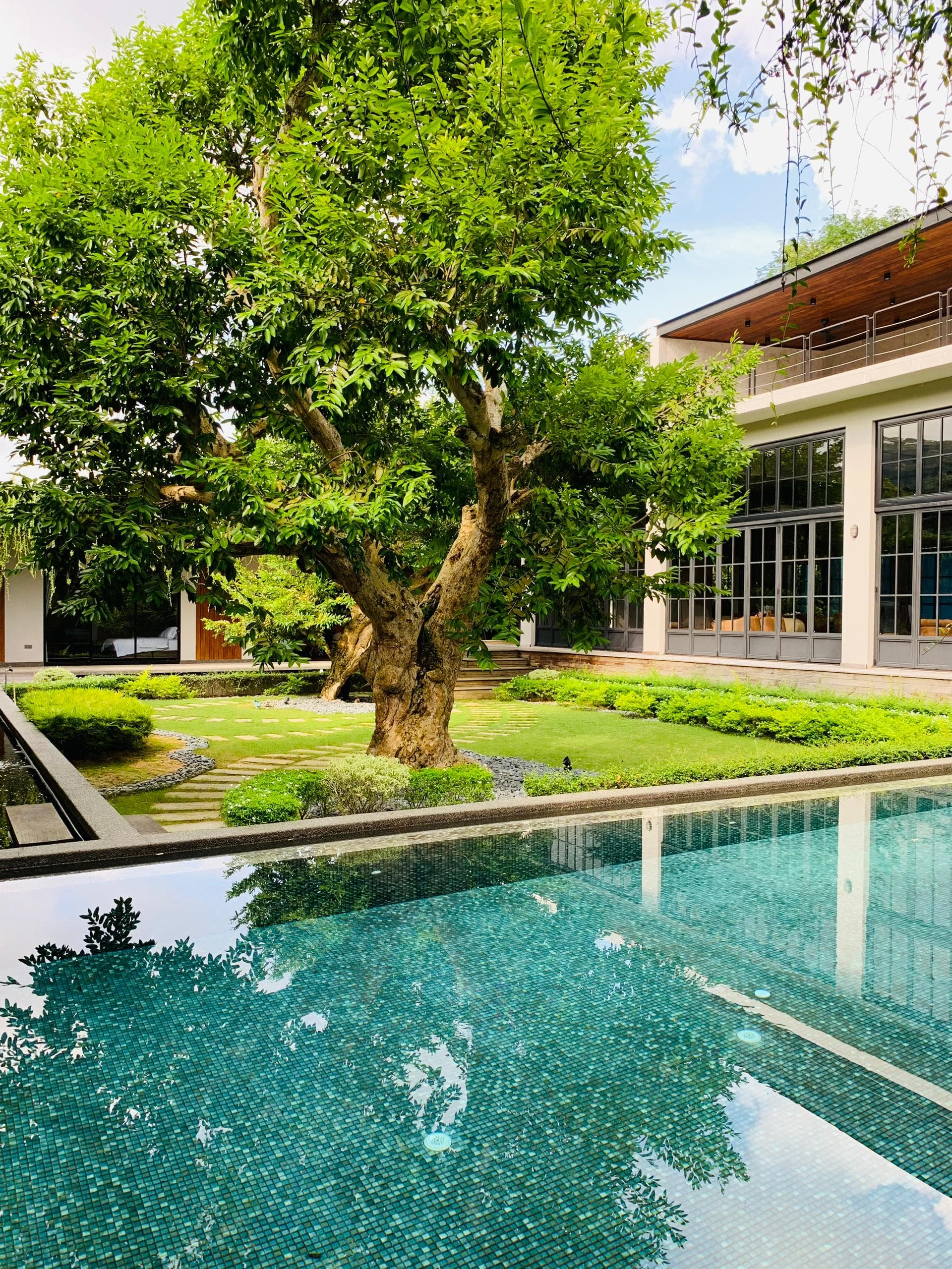 Pool with century-old tree reflection